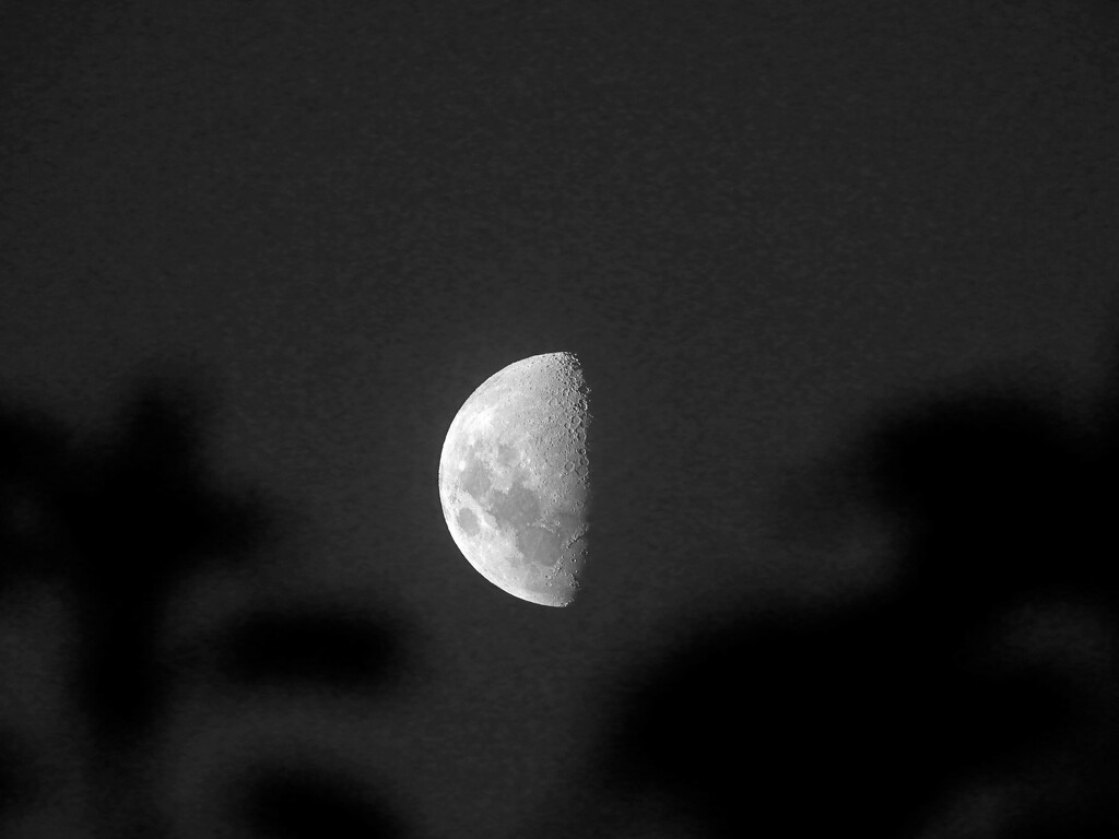 Another moon shot by maggiemae