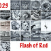 Extras - Flash of Red - Monthly view by pamknowler