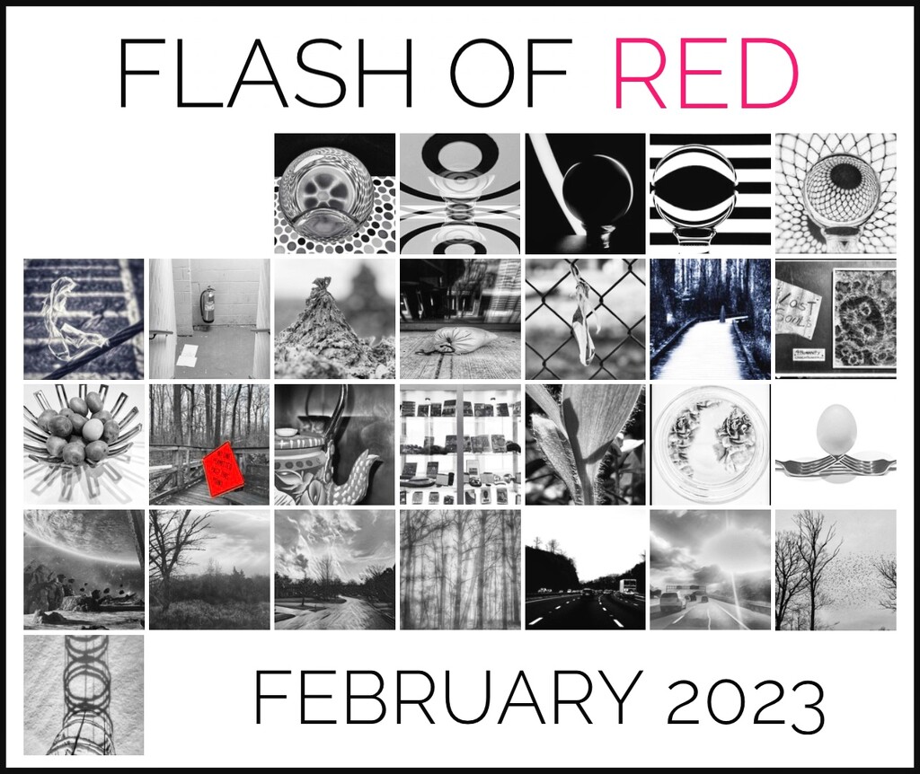 Flash of Red February by njmom3
