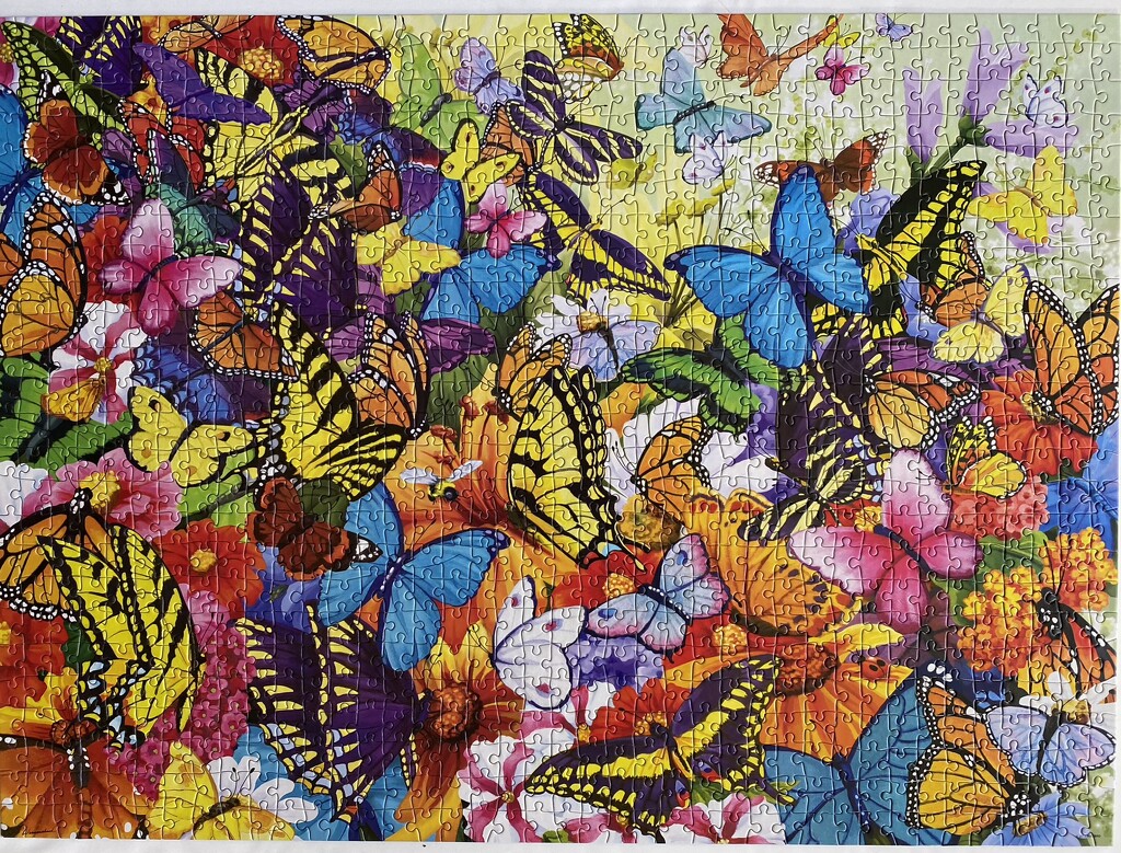 Butterflies collage by Nancy Wernersbach an MB puzzle. by antlamb