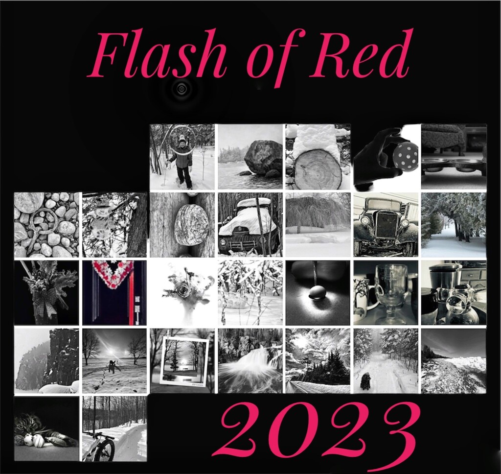 FOR February 2023 by radiogirl
