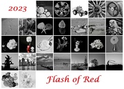 28th Feb 2023 - Flash of Red 2023