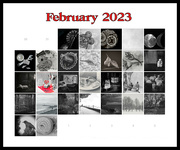 28th Feb 2023 - Flash of Red 2023 - done and dusted
