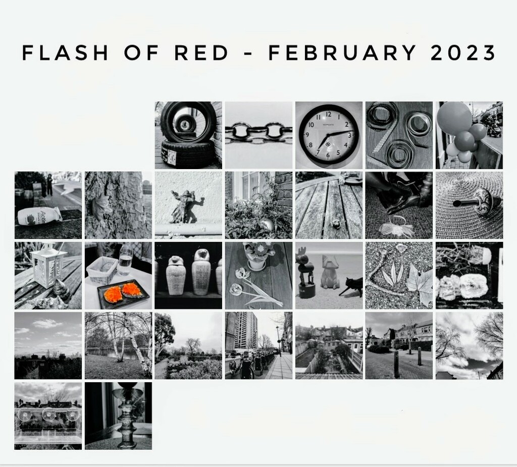 Flash of red February  by boxplayer