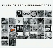 28th Feb 2023 - Flash of red February 
