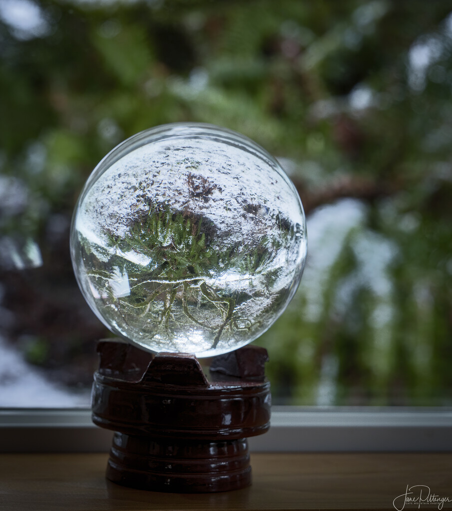 Snow in the Ball by jgpittenger