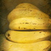 Bananarama by mazoo