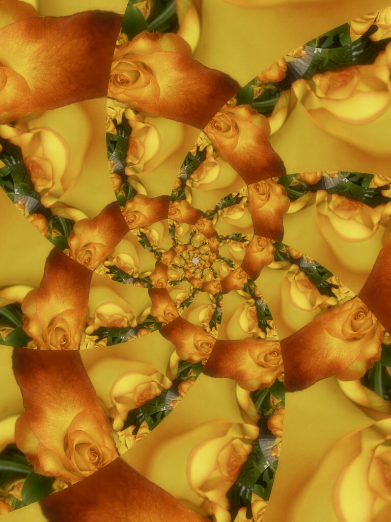 Twirled Roses by joysfocus