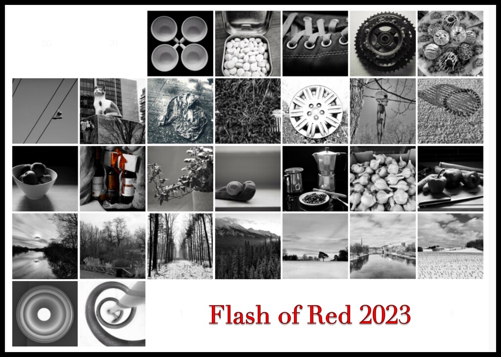 Flash of Red 2023 by ljmanning