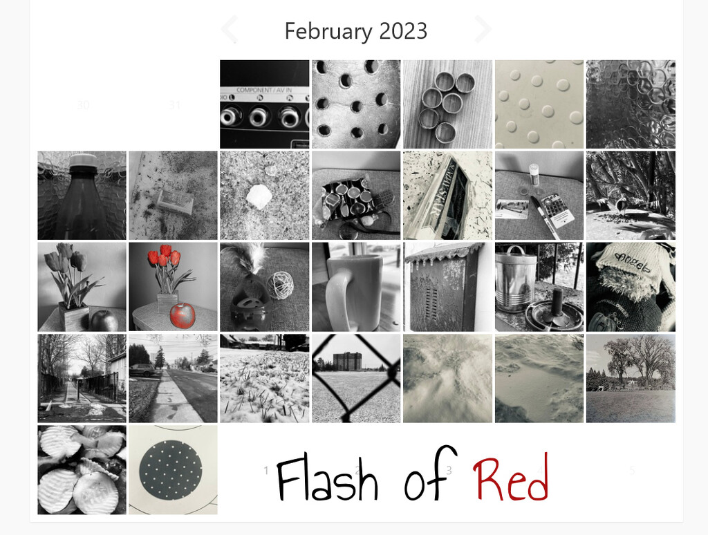 Flash of Red by spanishliz