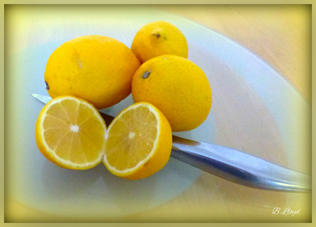 Lemons. by beryl