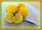 1st Mar 2023 - Lemons.
