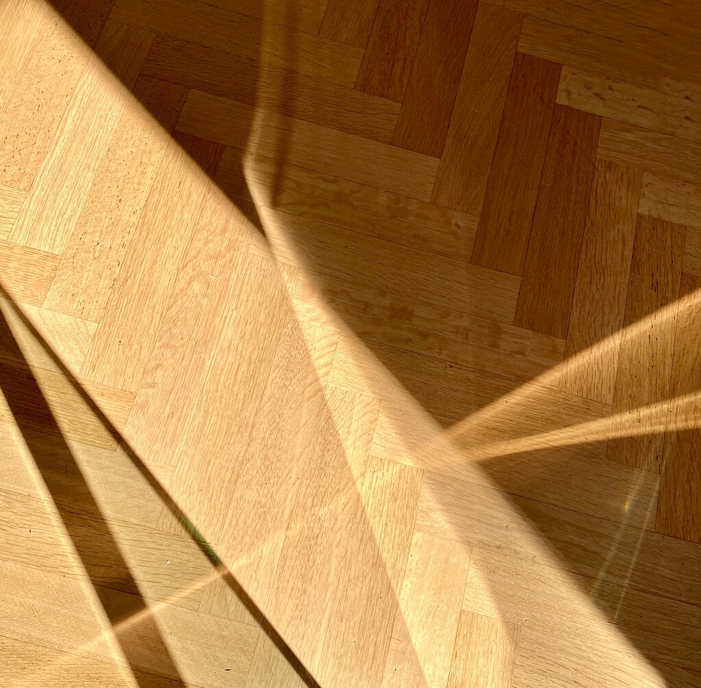 Sunny shadow play on the floor by stimuloog