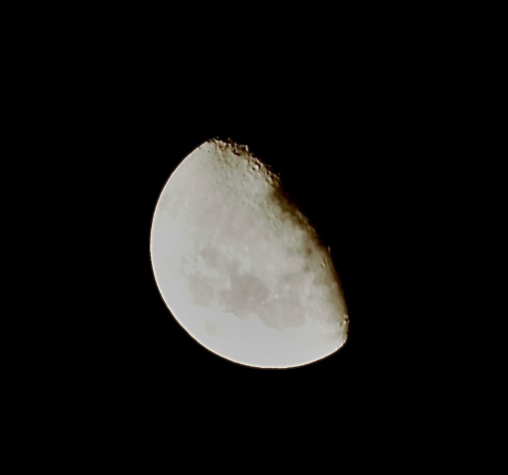 Tonight’s moon by Dawn