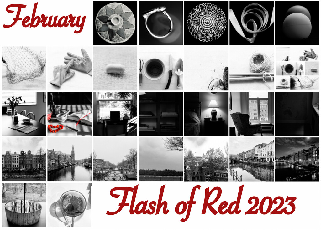 Flash of Red 2023 by cristinaledesma33