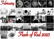 1st Mar 2023 - Flash of Red 2023