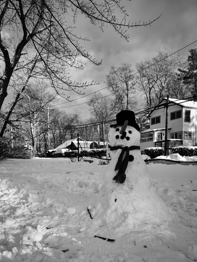 FoR Snowman by heftler