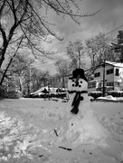 28th Feb 2023 - FoR Snowman