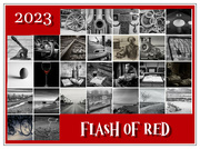 1st Mar 2023 - Flash of Red