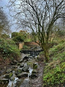 1st Mar 2023 - Mill stream at Hill Hook