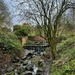 Mill stream at Hill Hook by tinley23