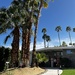 Palm Springs by lisahenson