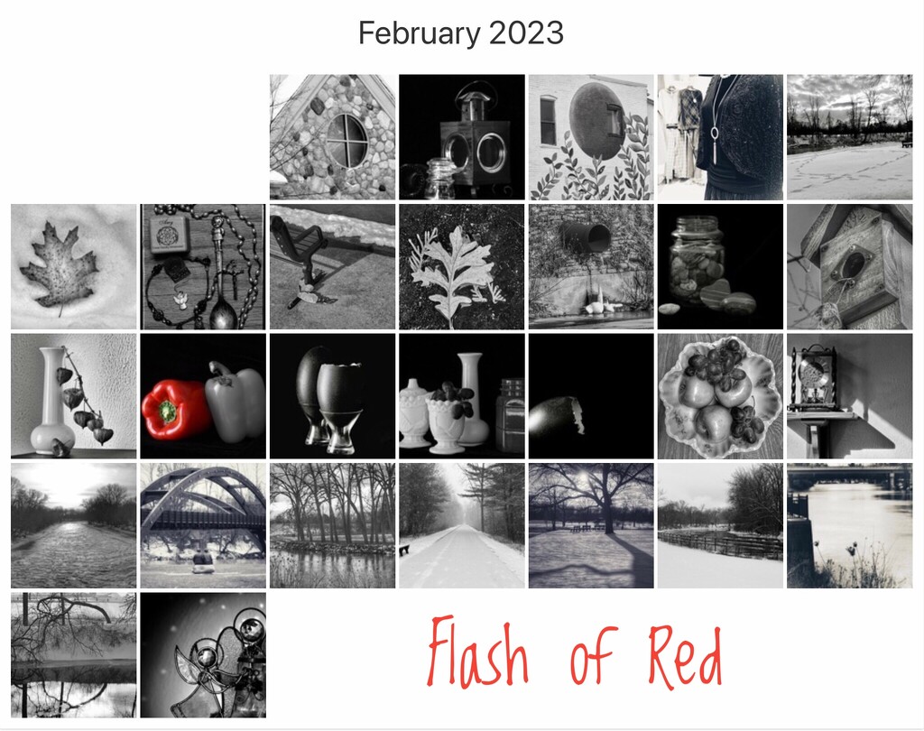 Feb 2023 Flash of Red by amyk