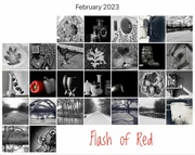 1st Mar 2023 - Feb 2023 Flash of Red