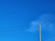 1st Mar 2023 - Blue skies