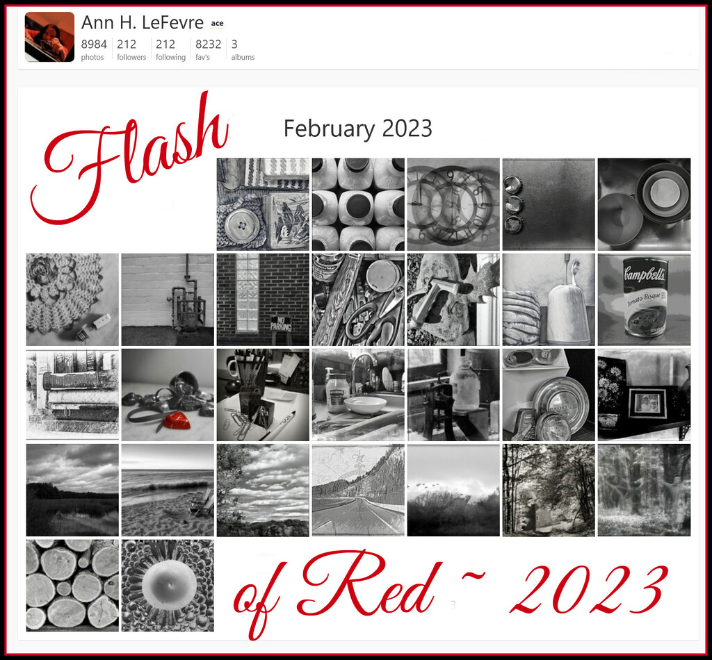 Flash of Red Calendar 2023 by olivetreeann