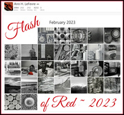 1st Mar 2023 - Flash of Red Calendar 2023