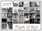 1st Mar 2023 - Flash of Red - February 2023