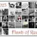 Flash of Red - February 2023 by genealogygenie