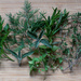 Green herbs by brigette