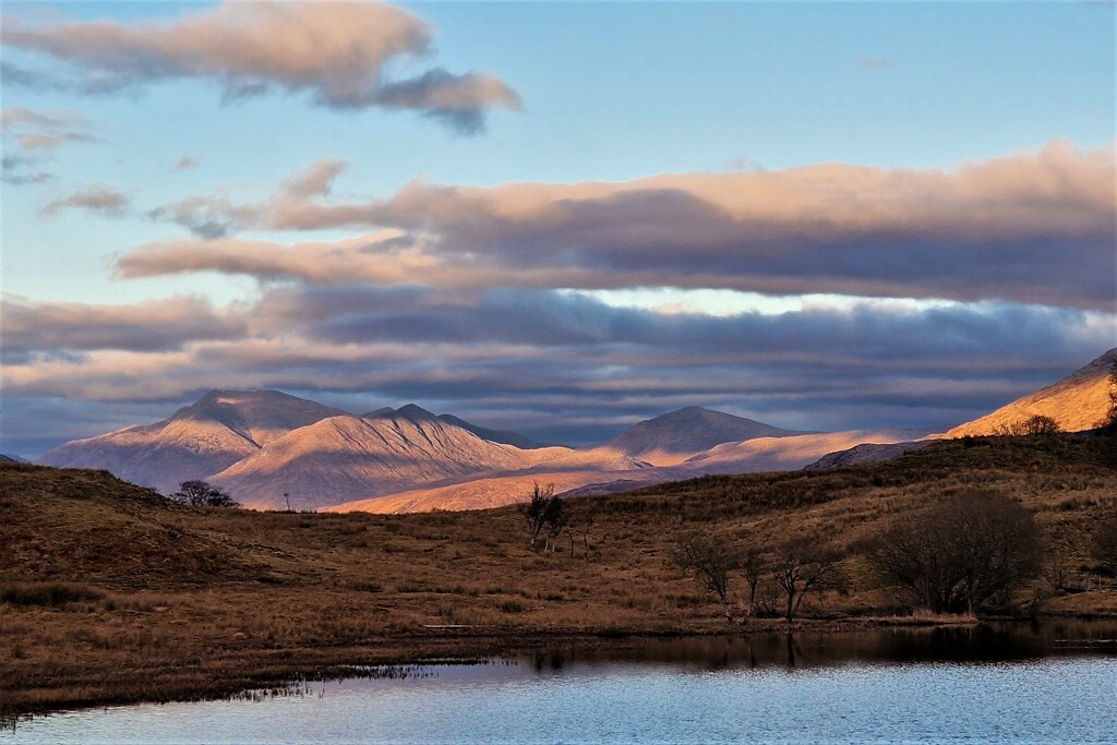 sunlit uplands by christophercox