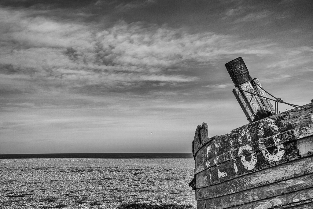 Dungeness - 5  by seanoneill
