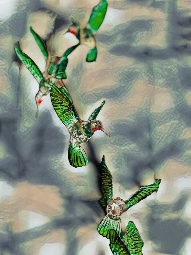 green hummingbirds by amyk