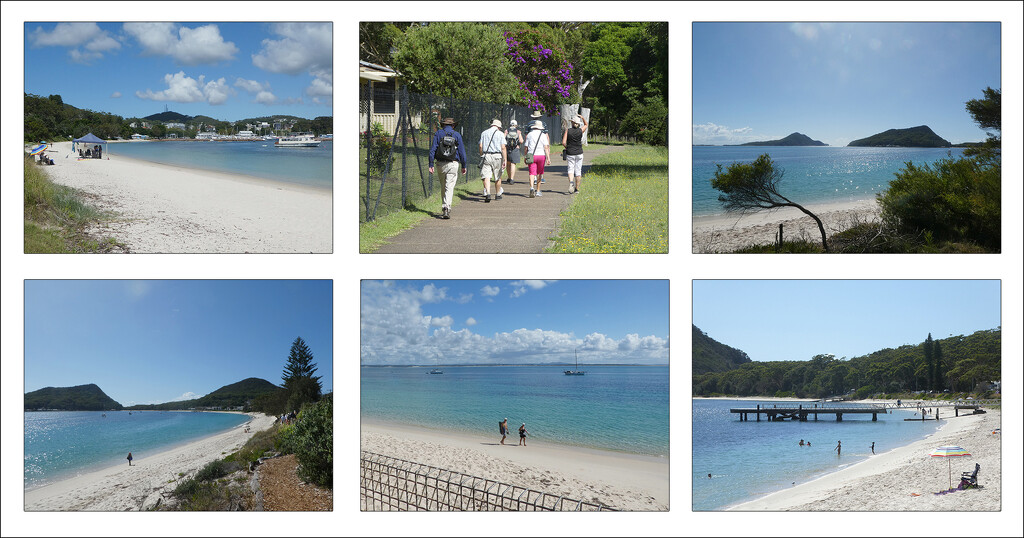 Fly Point to Shoal Bay Walk by onewing