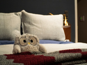 1st Mar 2023 - Bedtime Owl