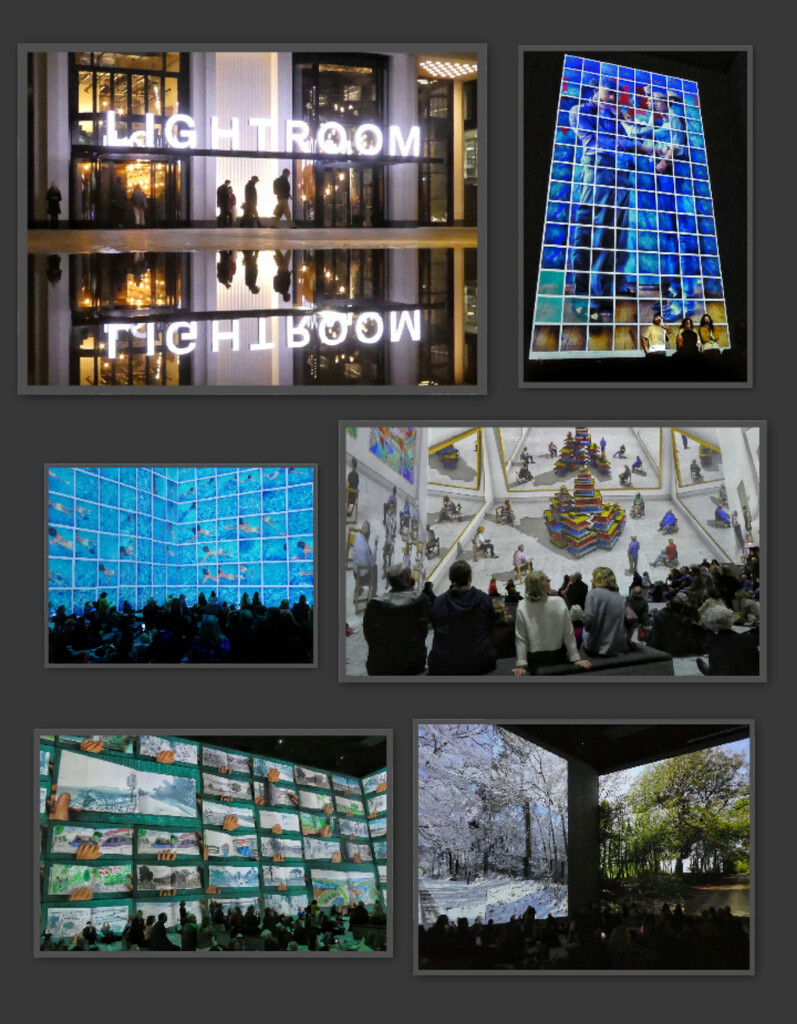 David Hockney - Bigger and Closer Exhibition  by 30pics4jackiesdiamond