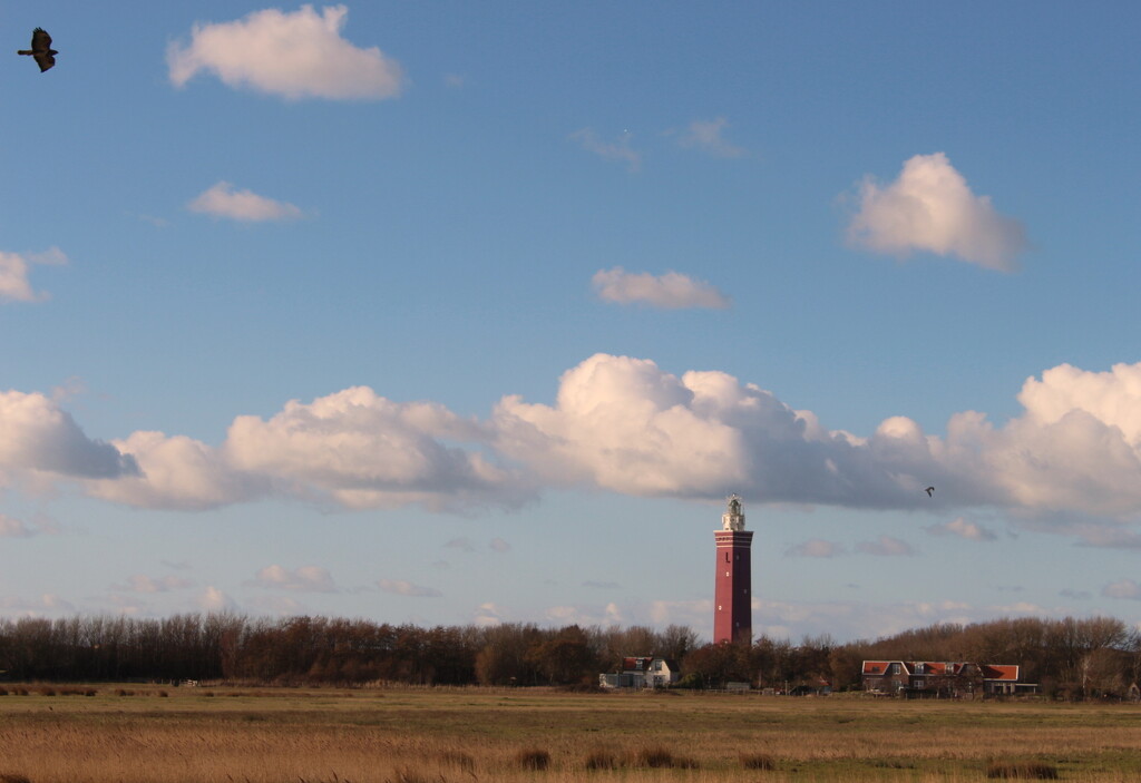 Vuurtoren ``Westhoofd`` Ouddorp  by pyrrhula