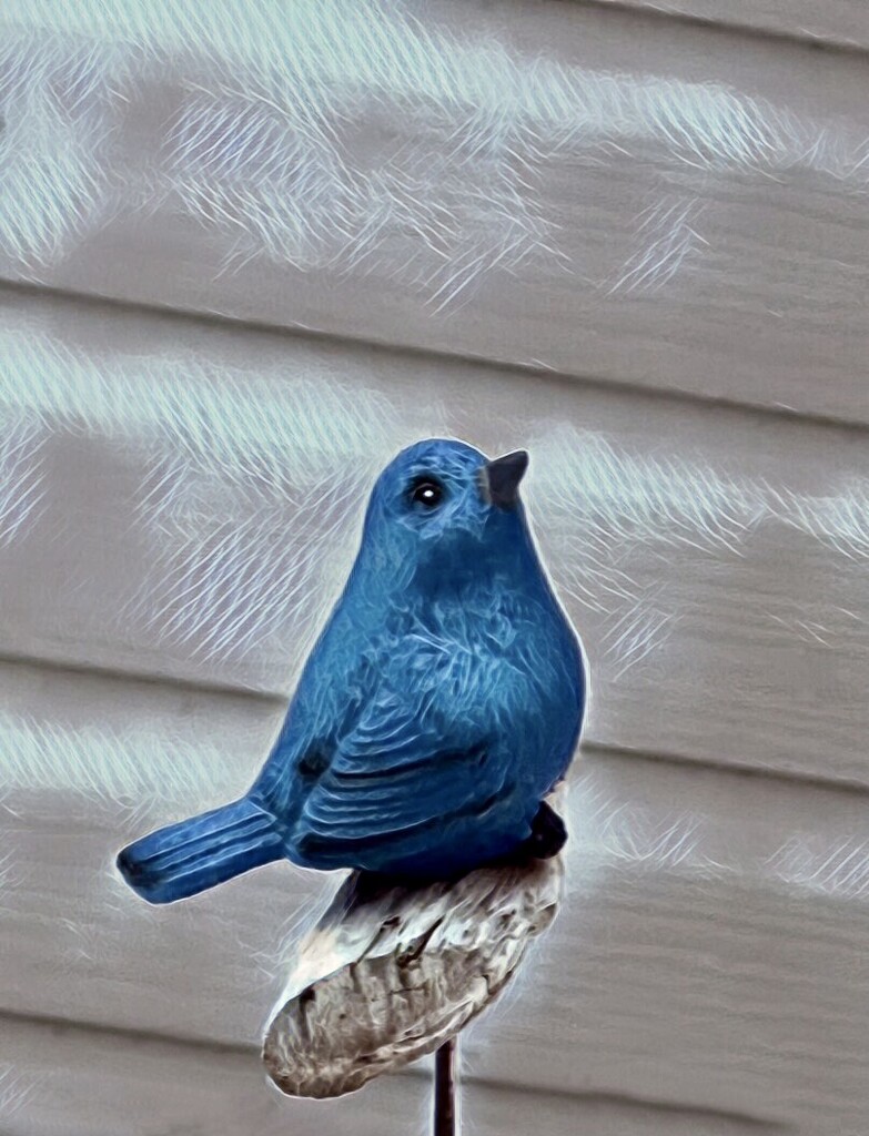 blue bird by amyk