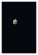 4th Mar 2023 - Not yet a full moon