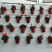 Red flowerpot stands by franbalsera