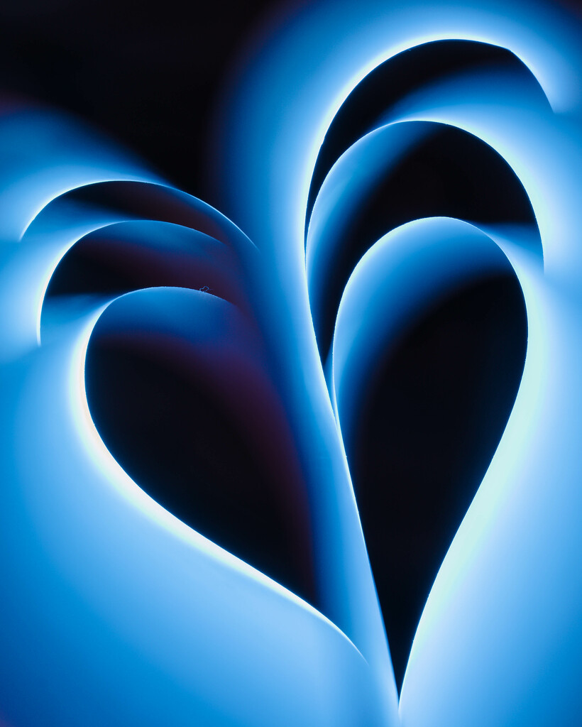 Blue heart by pamalama