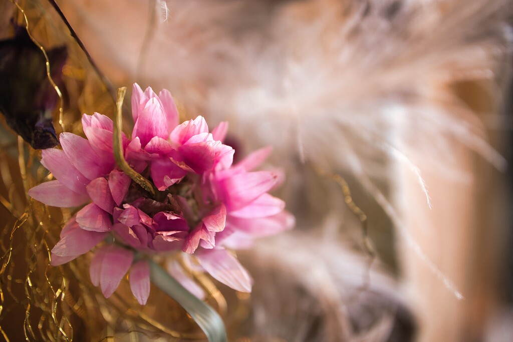 At the florists by okvalle