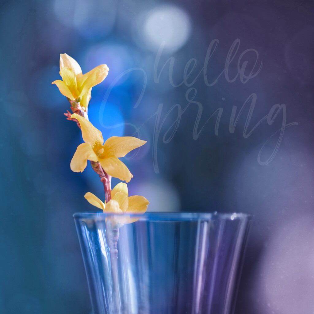 2023-03-04 hello spring by mona65
