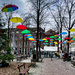 03-04 - Colorful Roermond by talmon