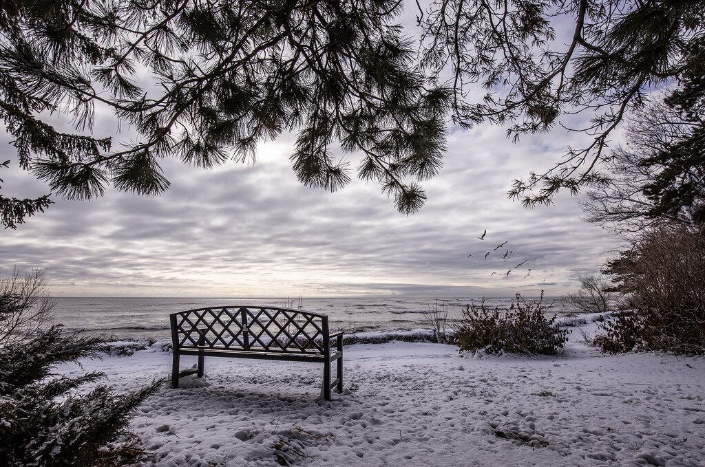Winter Bench by pdulis