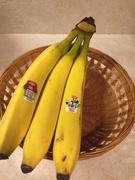 1st Mar 2023 - Yellow bananas
